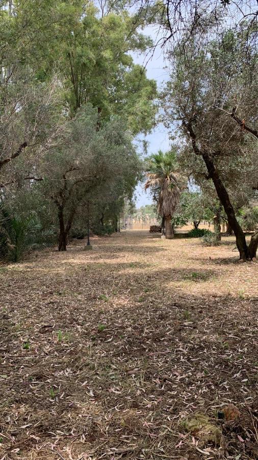 Tenuta Sidore Cursi Luaran gambar
