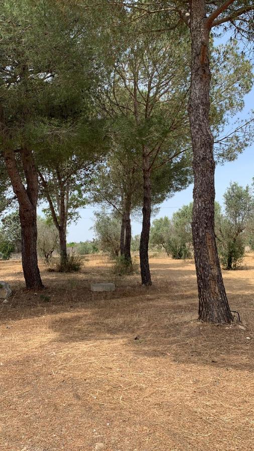 Tenuta Sidore Cursi Luaran gambar